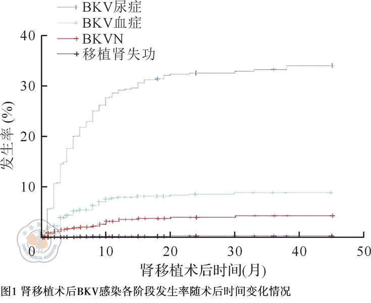 图1 肾移植术后BKV感染各阶段发生率随术后时间变化情况.jpg