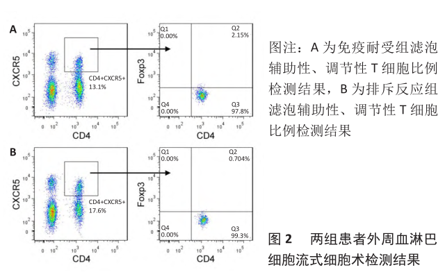 图2 两组患者外周血淋巴细胞流式细胞术检测结果.png