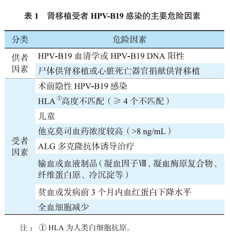 表1 肾移植受者HPV-B19感染的主要危险因素.png