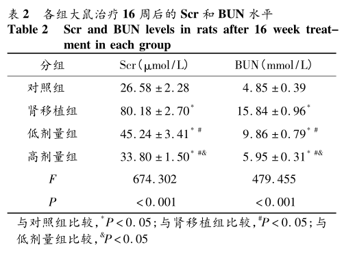 表2 各组大鼠治疗16周后的scr和bun水平.png