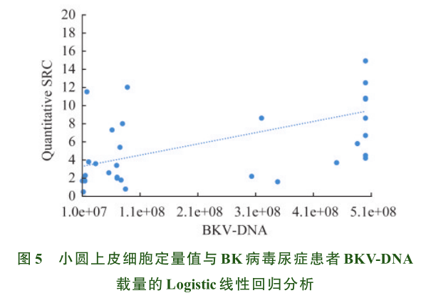 图5 小圆上皮细胞定量值与bk病毒尿症患者bkv-dna载量.png