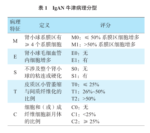 表1 igan牛津病理分型.png