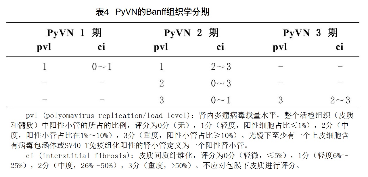 4 PyVNBanff֯ѧ.jpg