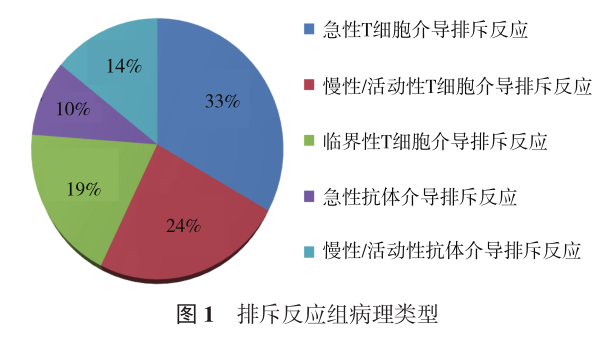 图1 排斥反应组病理类型.png