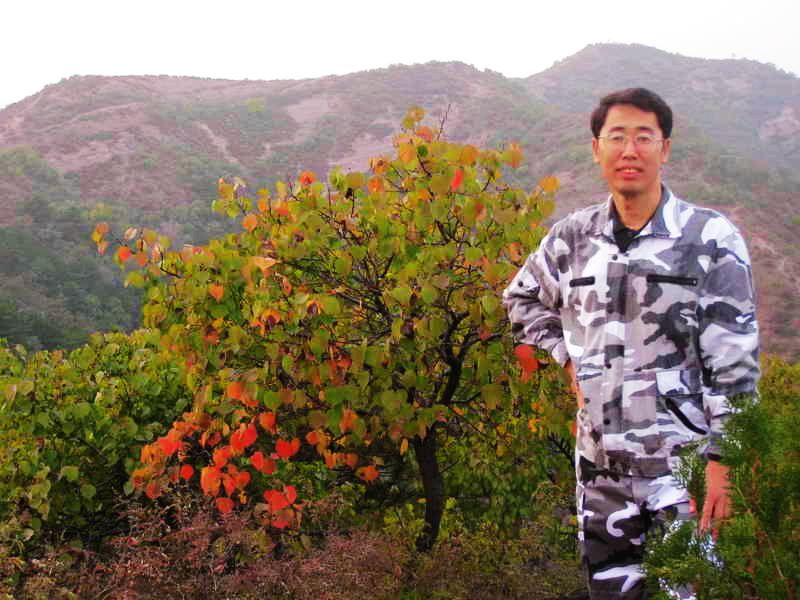 [原创]雄关漫道  走向辉煌——肝移植三年回眸