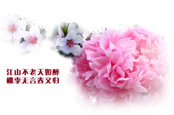 祝开心、如意生日快乐