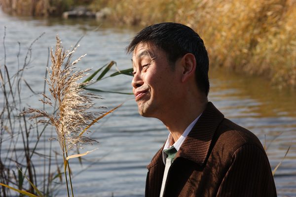 幸福草