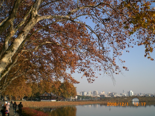 山外山