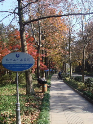 山外山