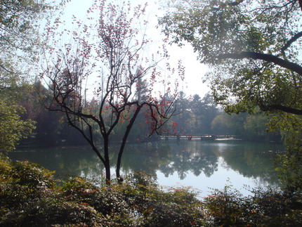 山外山