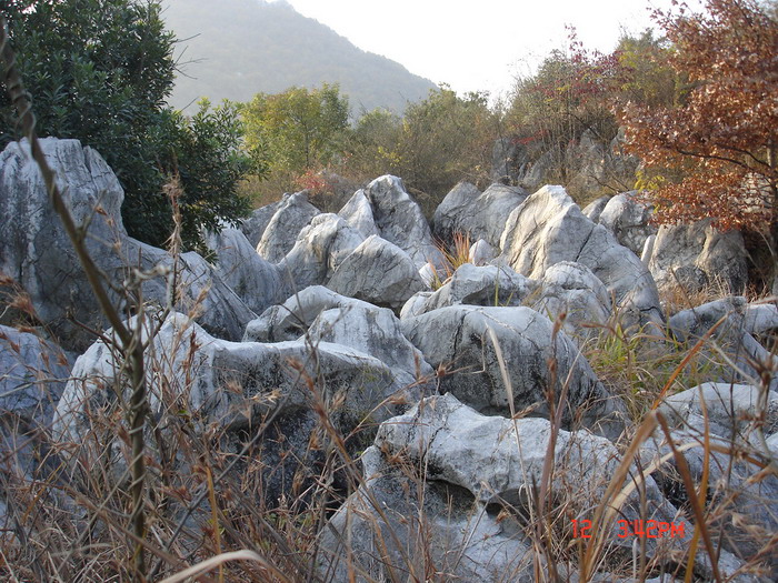 肝友自驾游江西  上山下水寻开心