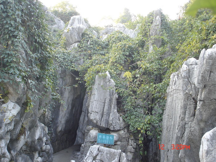 肝友自驾游江西  上山下水寻开心