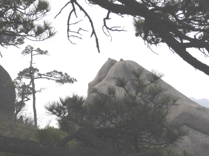 肝友自驾游江西  上山下水寻开心