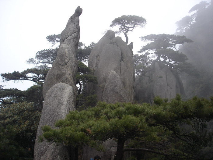 肝友自驾游江西  上山下水寻开心
