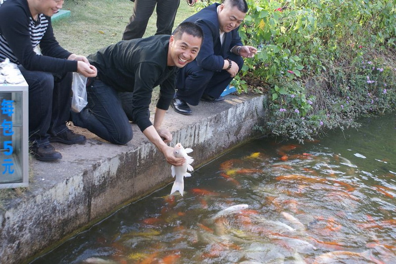 我爱你深圳