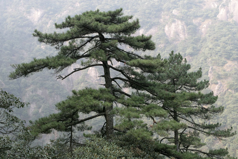 江西三清山影像日记