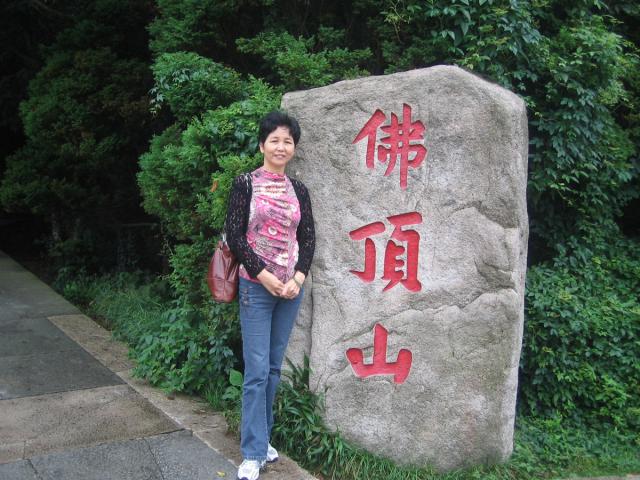 想念原“移植城”的美女们