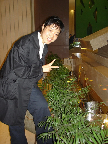 想念原“移植城”的美女们