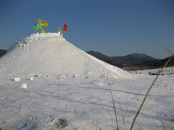 祝大家春节快乐!