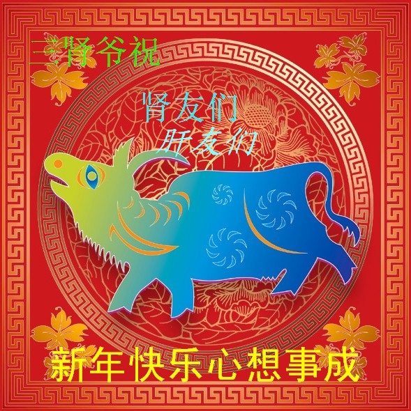 红红火火过新年！