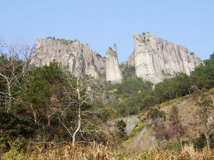 庆新春