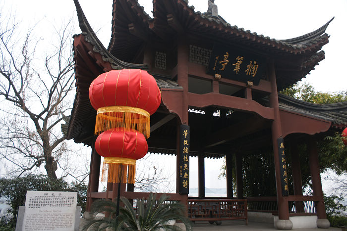 中国肝移植受者第四次联谊会通讯录样本展示