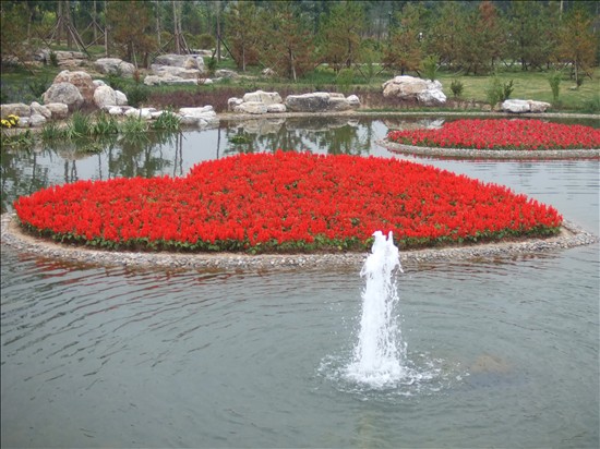 [分享]北京国际鲜花港