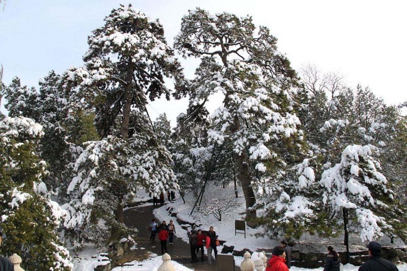 大雪中的颐和园