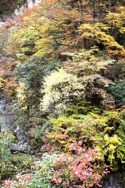 秋游光雾山