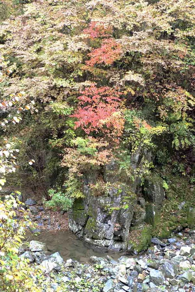 秋游光雾山
