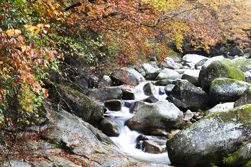 秋游光雾山