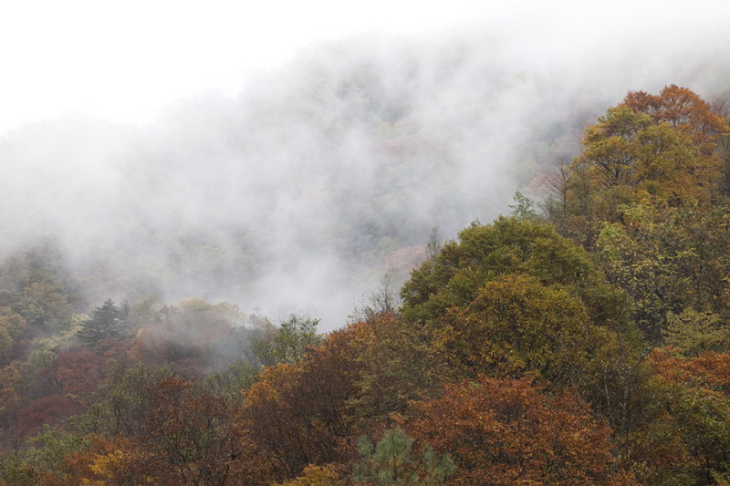 秋游光雾山