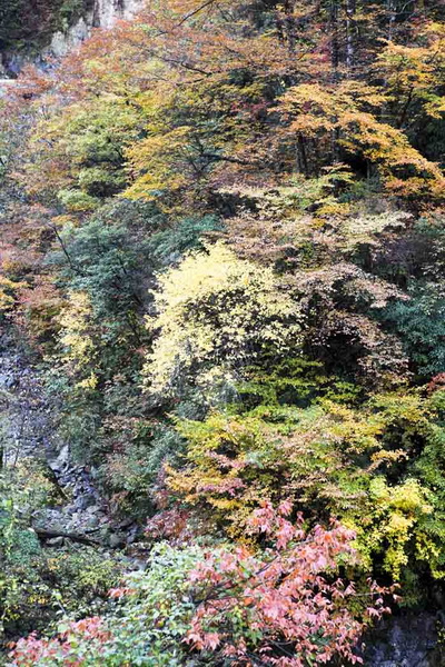 秋游光雾山