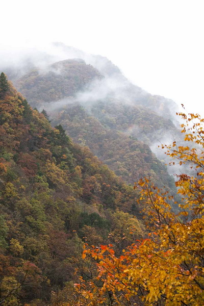 秋游光雾山
