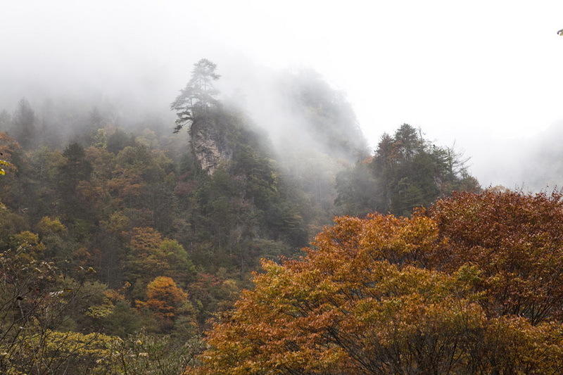 秋游光雾山