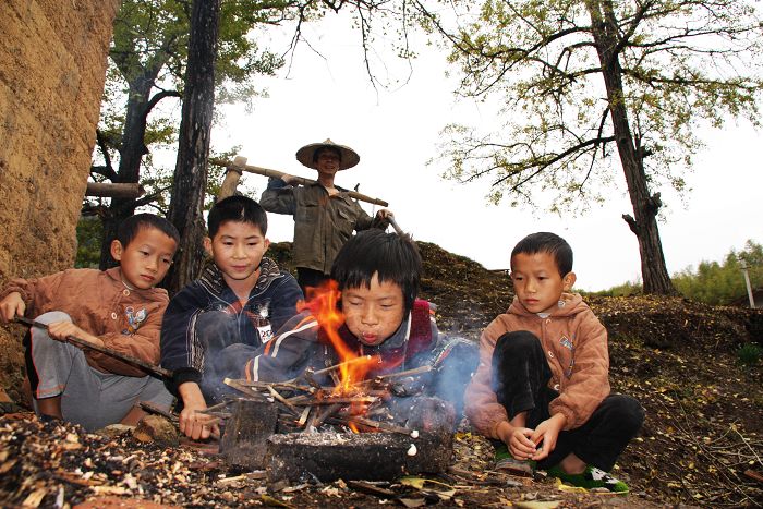 [原创摄影]银杏叶儿渐渐黄
