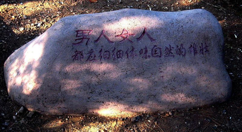 [原创]      冬天没来雪先到    门前枫叶别样红