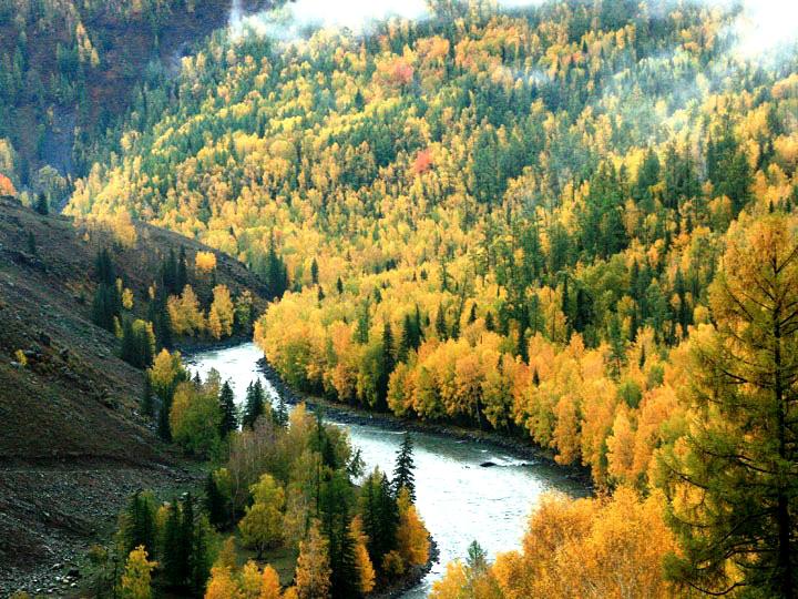 【原创摄影】新疆喀纳斯之秋 (一)