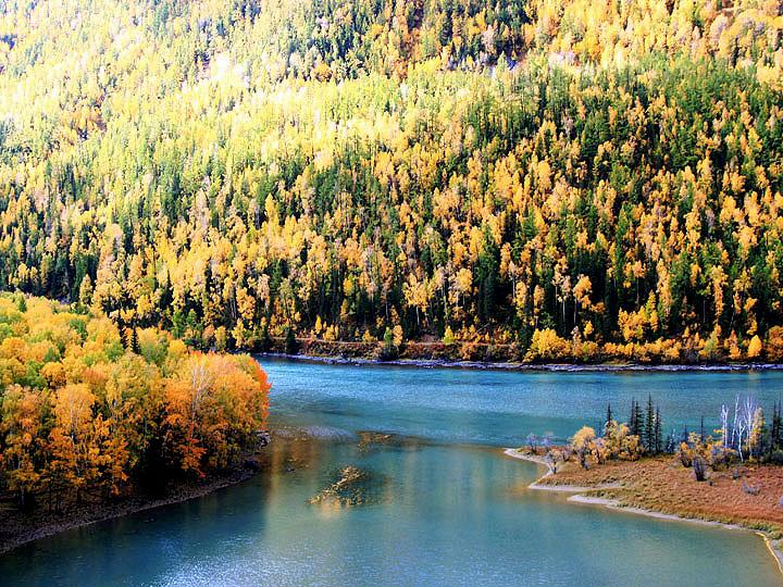 【原创摄影】新疆喀纳斯之秋 (一)