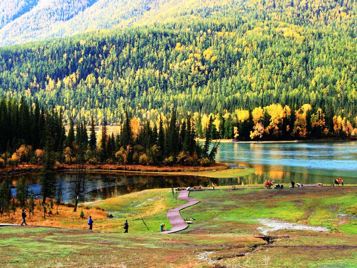 【原创摄影】新疆喀纳斯之秋 (一)