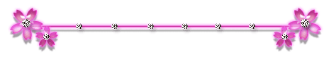 2009武汉肝友会小结与明年网聚筹划