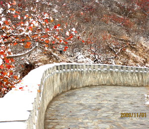 [原创]      冬天没来雪先到    门前枫叶别样红