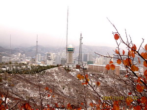 [原创]      冬天没来雪先到    门前枫叶别样红