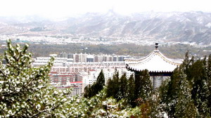 [原创]      冬天没来雪先到    门前枫叶别样红