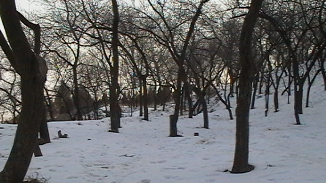 爬山游记