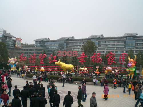 [分享]杭州的花灯
