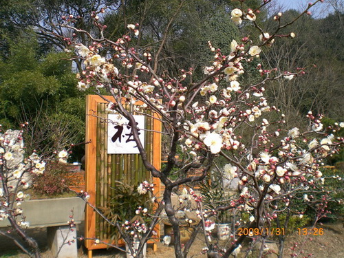 杭州植物园