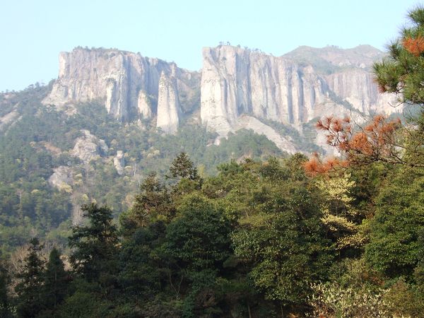 庆新春