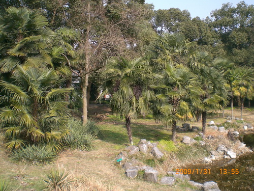 杭州植物园