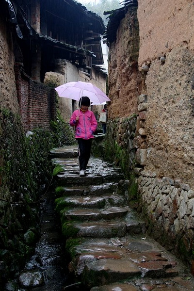 雨中的桂峰
